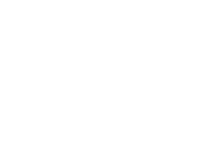 Veterans' Voice of America Logo